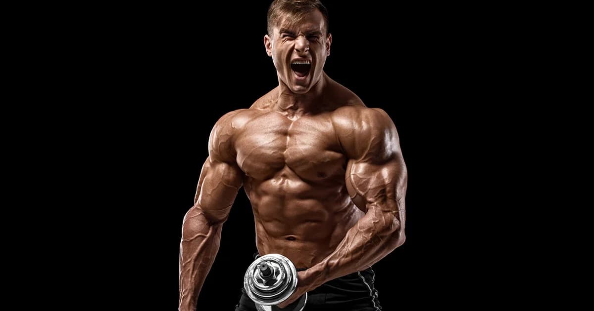 SARMs Kaufen: Entdecken Sie die besten SARMs für Ihre Fitnessziele