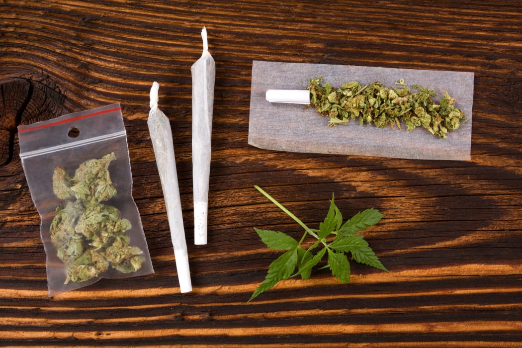 Spezialsorten und Klassiker – Hier kannst du Cannabis Samen bestellen