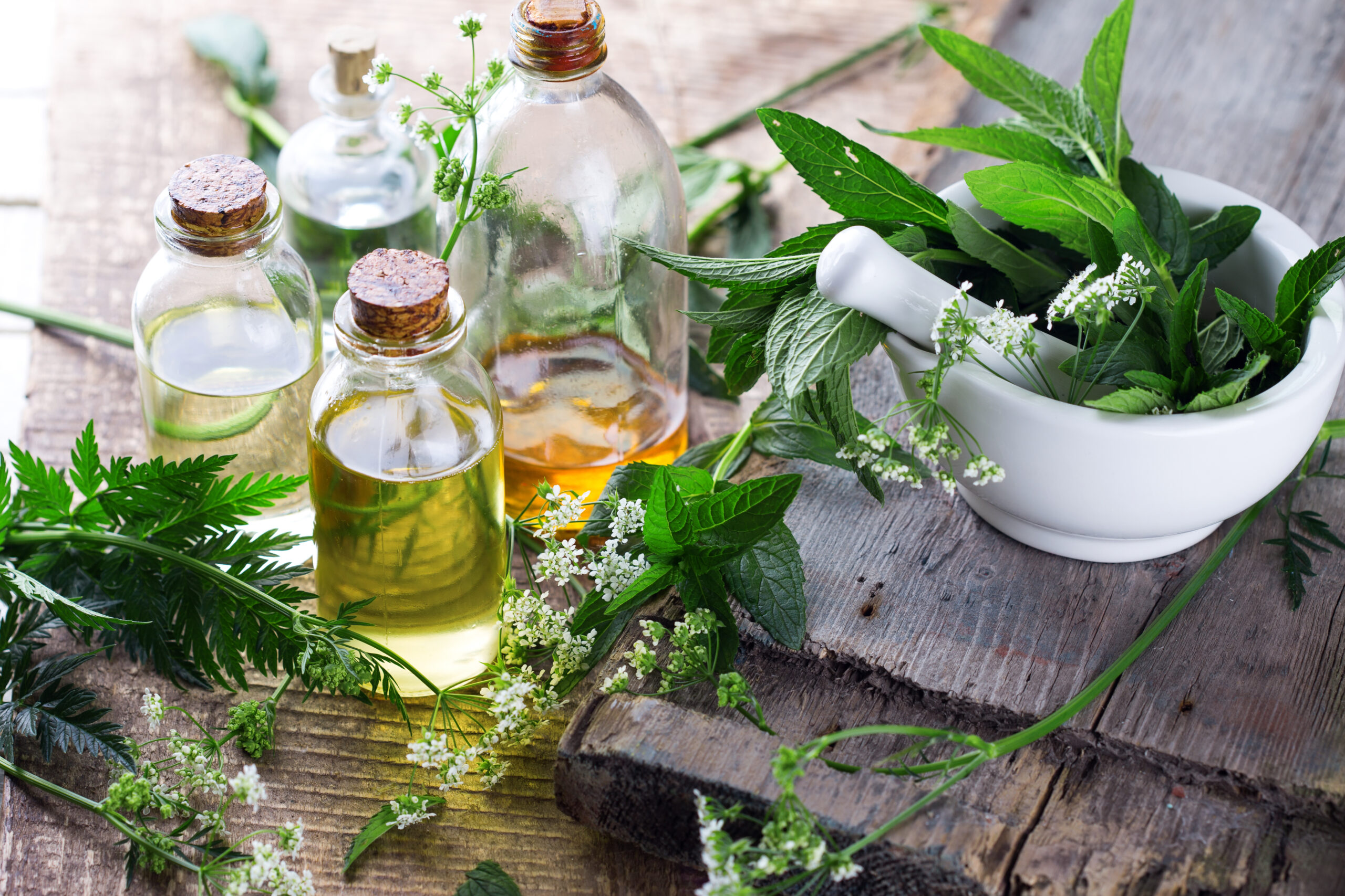 Umarme die Geschenke der Natur: Die Kraft der Naturkosmetik